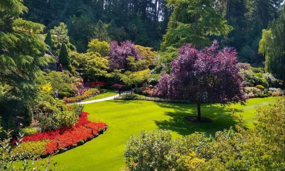 Laying the Groundwork_ The Role of Topsoil in Landscape Transformation - blog