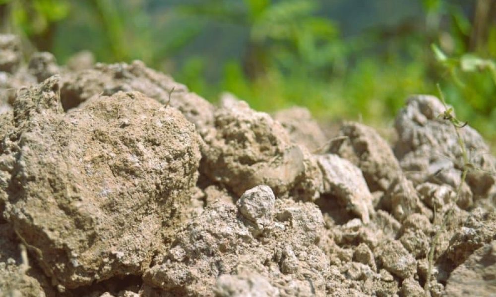 The Importance of Soil Testing Before Sod Installation-blog