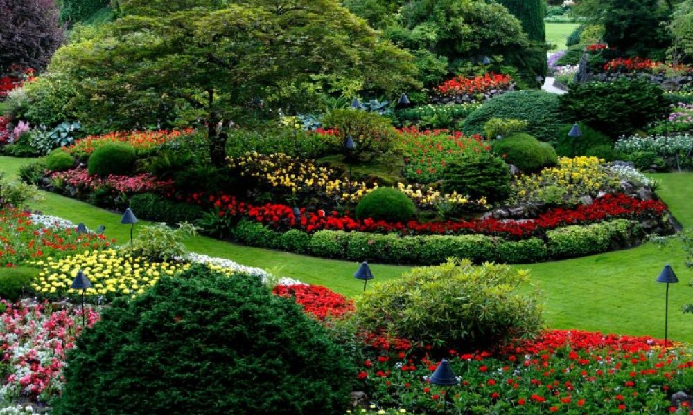 Top Landscaping Trends Homeowners Are Loving This Year - blog