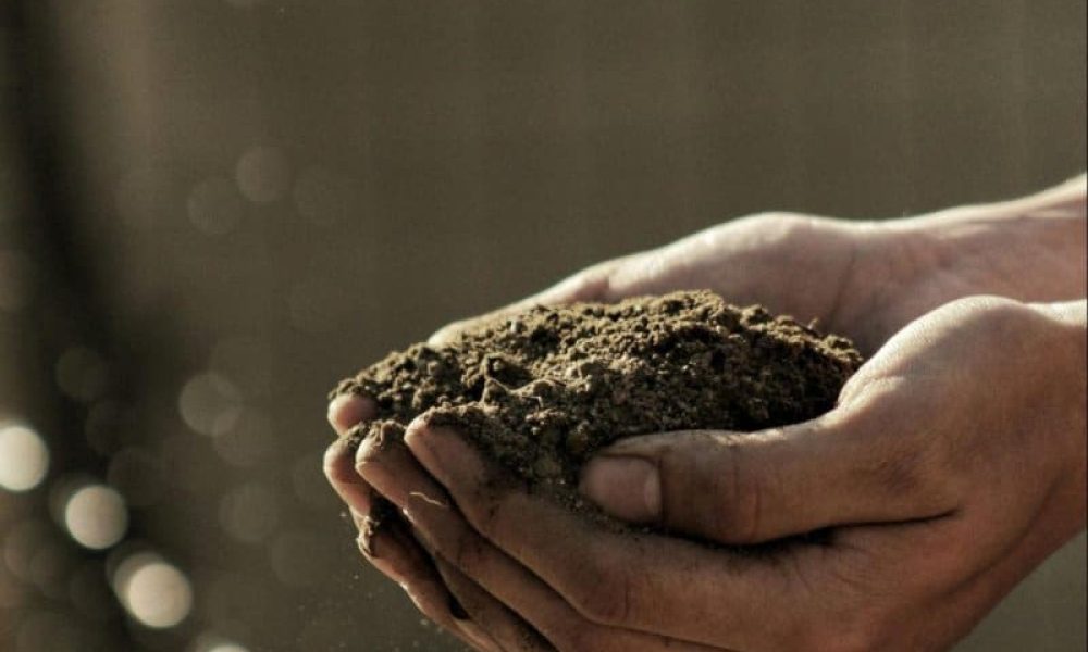 Understanding the Cost of Fill Delivery and Spreading Services - blog