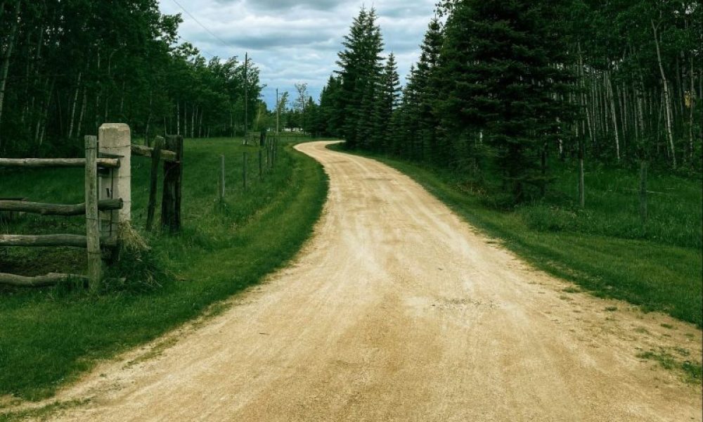 What to Expect from Professional Gravel Driveway Installation Services - blog